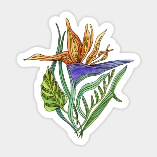 Bird of Paradise Watercolor Sticker